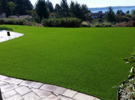 tussing_steilcom_lawn4-synthetic-turf-northwest